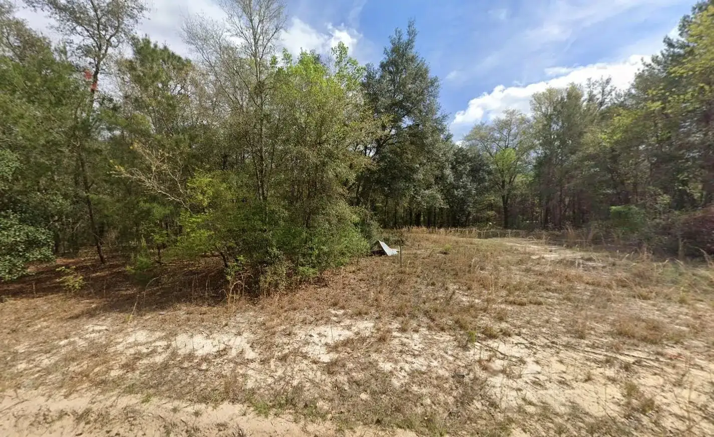 523 Gloria Avenue, FL 32148 photo 2