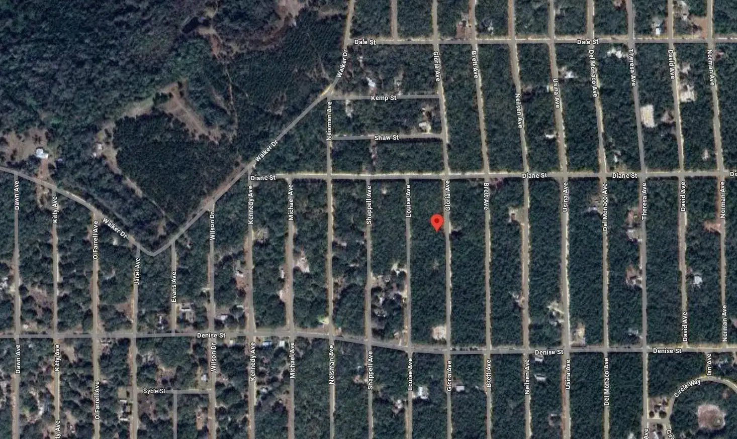 523 Gloria Avenue, FL 32148 photo 3