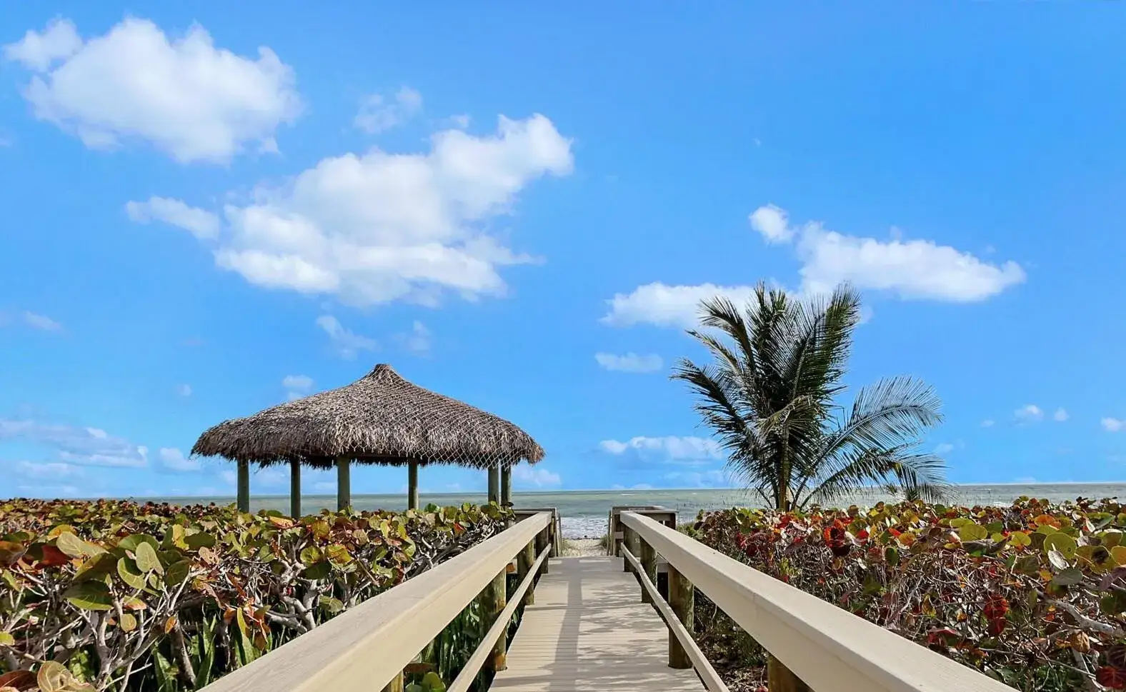 5055 N Highway A1a # 205, Hutchinson Island FL 34949