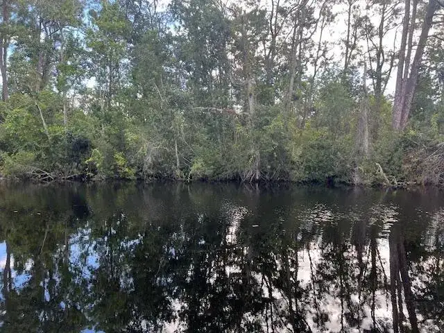 1131 Greenfield Street, Lake Placid FL 33852 photo 2