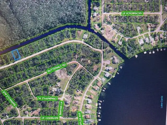 1131 Greenfield Street, Lake Placid FL 33852 photo 3