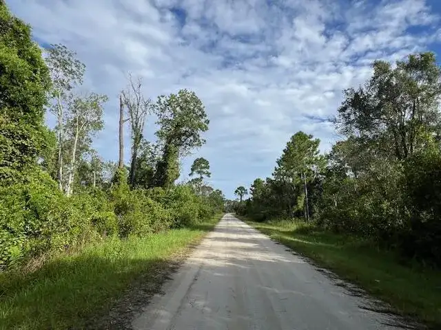 1131 Greenfield Street, Lake Placid FL 33852 photo 4