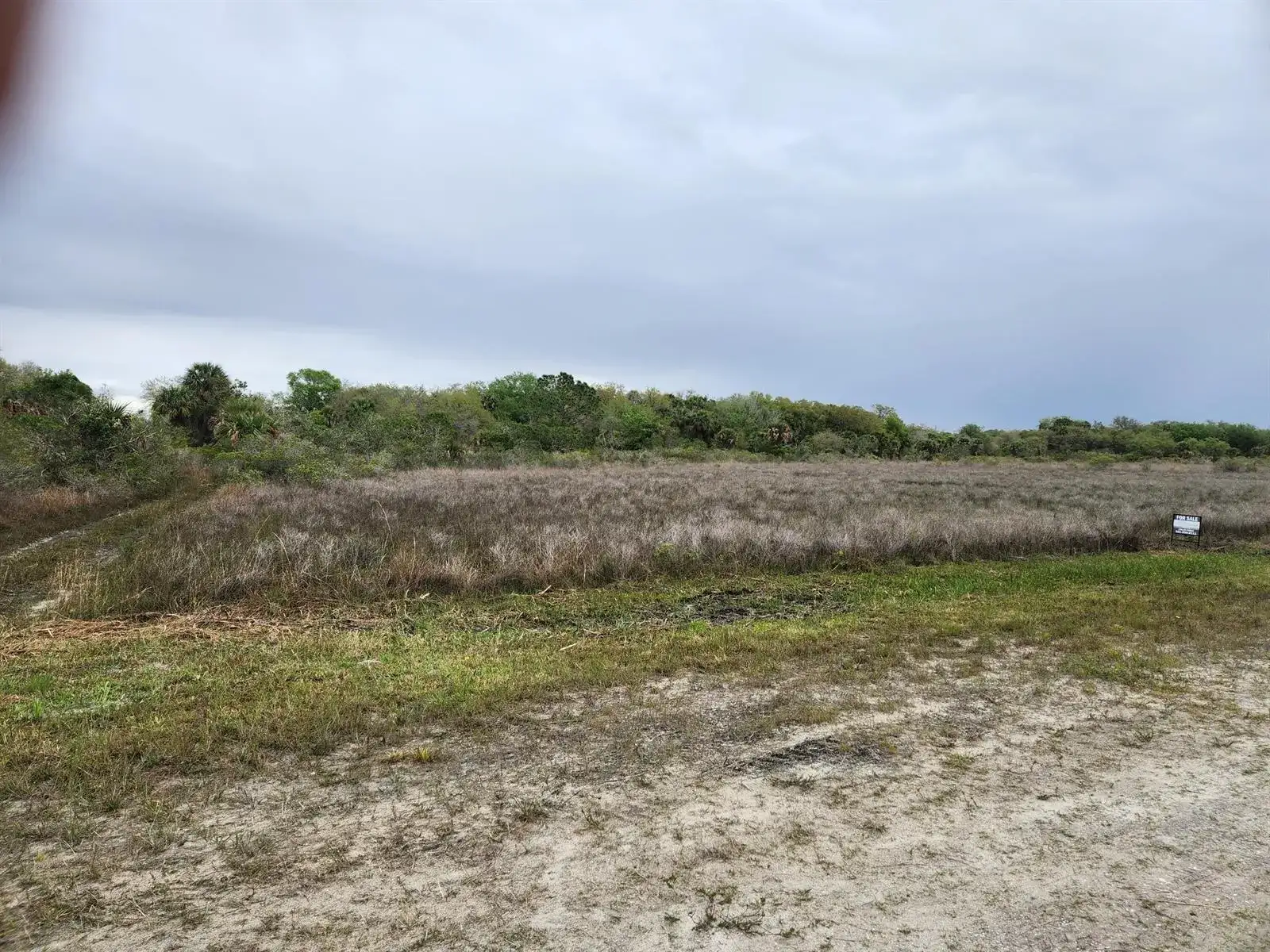 15679 NW 296th Street, Okeechobee FL 34972 photo 4