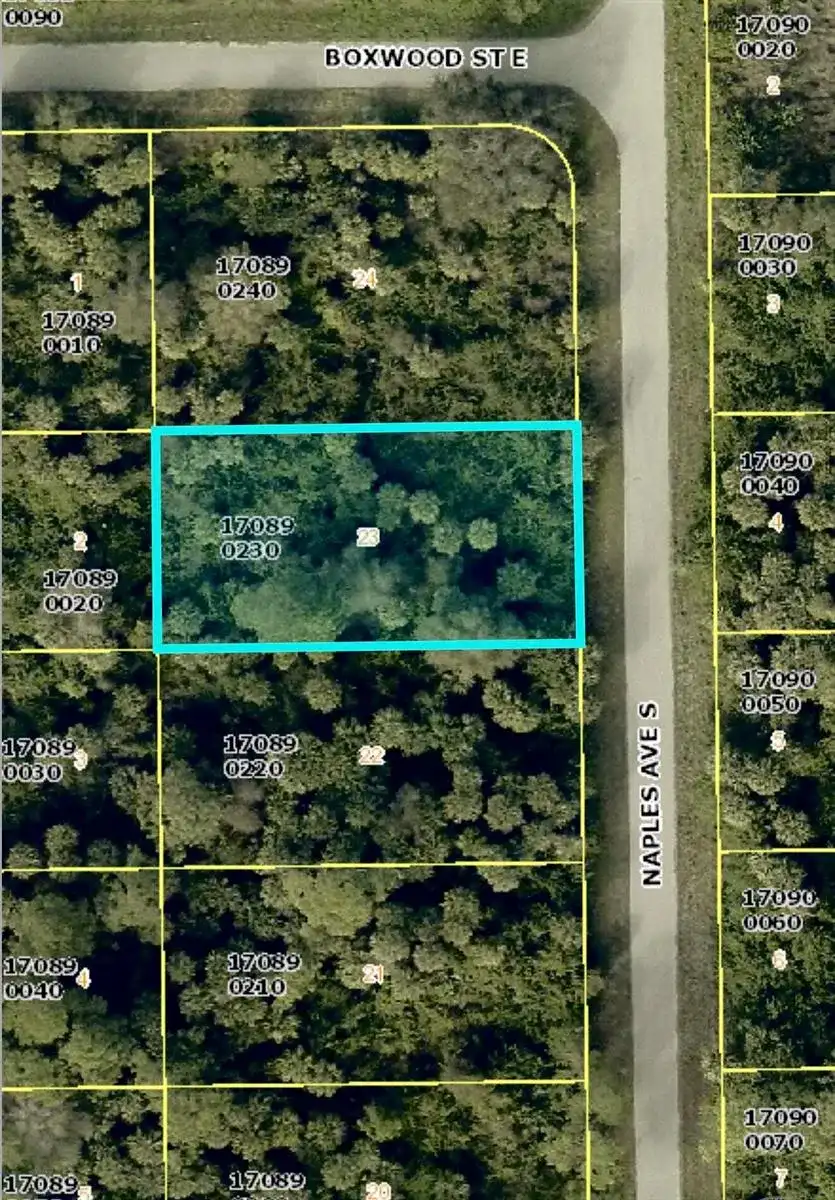 636 Naples Avenue S, Lehigh Acres FL 33974