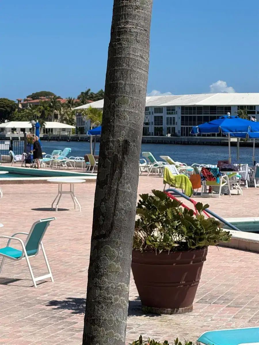 2010 S Federal Highway # 405, Boynton Beach FL 33435 photo 4