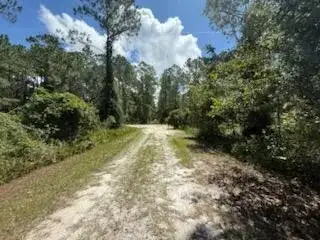 337 Palm Way, FL 32139 photo 2