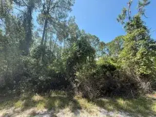 337 Palm Way, FL 32139 photo 3