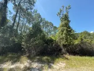 337 Palm Way, FL 32139 photo 4