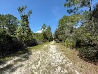 337 Palm Way, FL 32139 photo 5