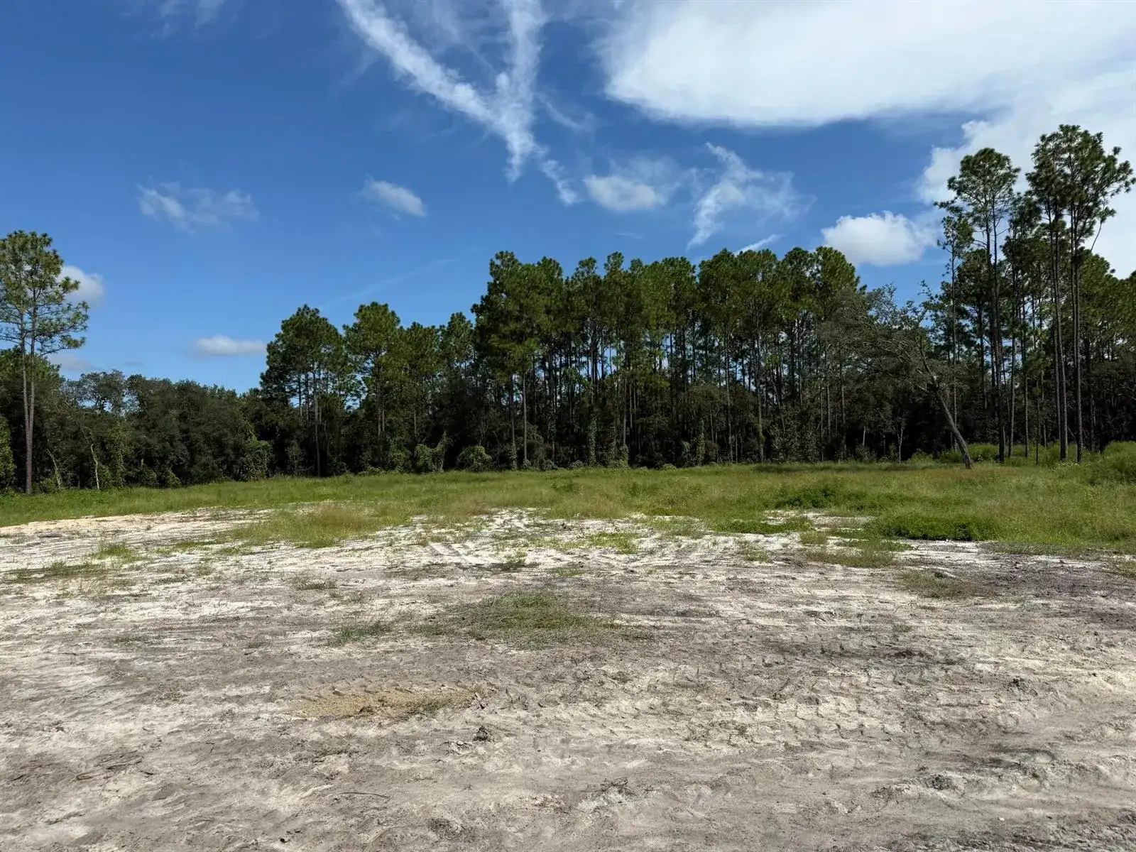 Tbd SW 146th Lane Road, FL 34432 photo 2