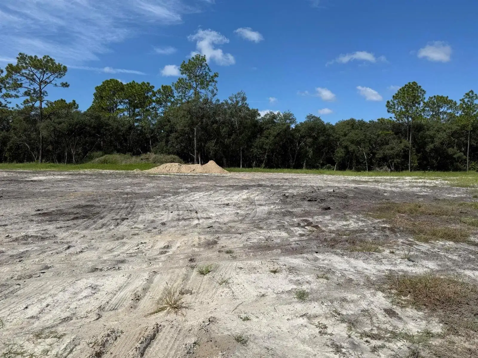 Tbd SW 146th Lane Road, FL 34432 photo 3