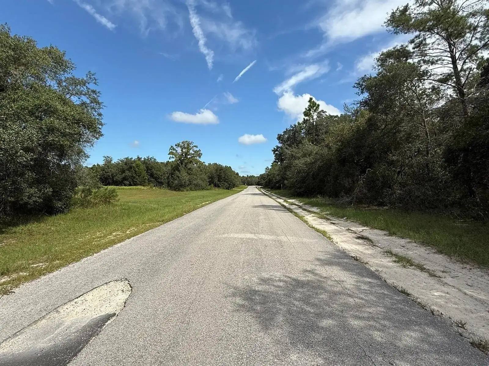 Tbd SW 146th Lane Road, FL 34432 photo 5