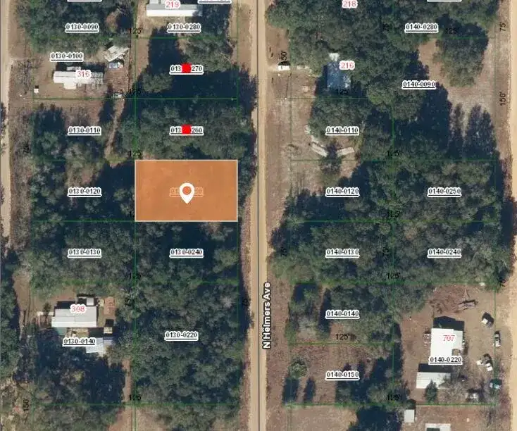 0 N Helmers Avenue, FL 32148 photo 3