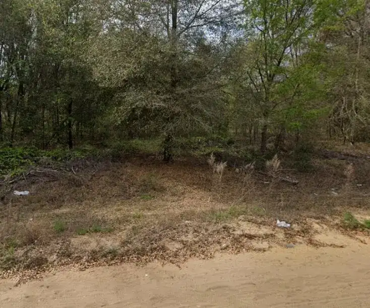 1 N Helmers Avenue, FL 32148 photo 3