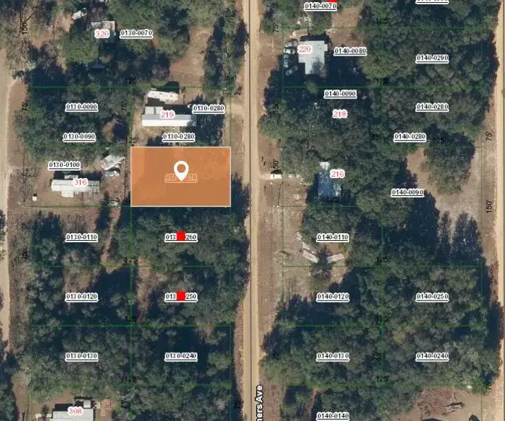 2 N Helmers Avenue, FL 32148 photo 2