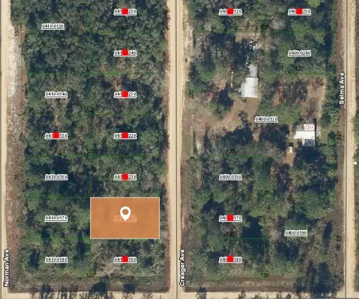 001 Creager, FL 32148 photo 2