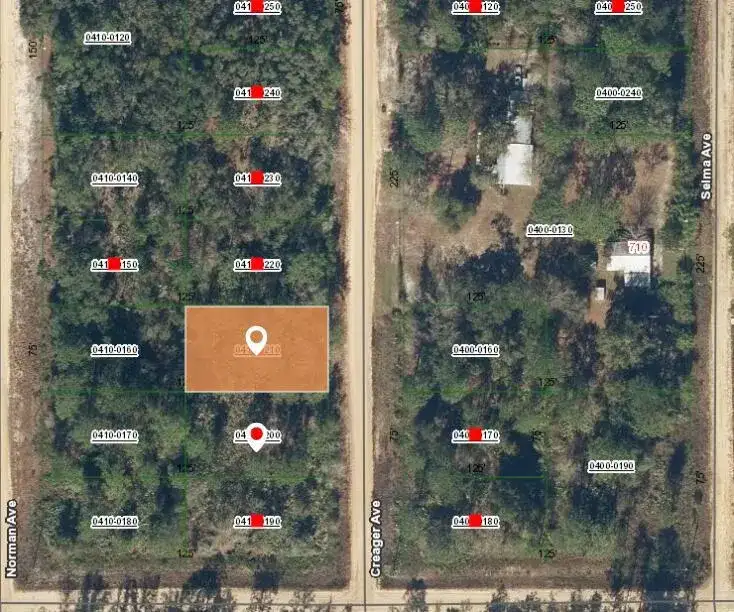 002 Creager Avenue, FL 32148 photo 2