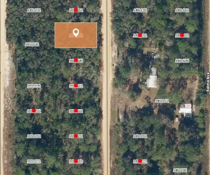006 Creager Avenue, FL 32148 photo 2