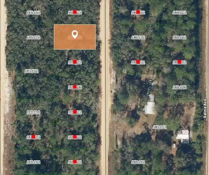 008 Creager Avenue, FL 32148 photo 2