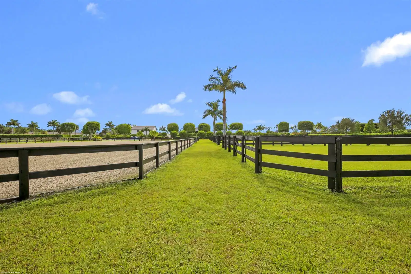 3899 Shutterfly Way, Wellington FL 33414 photo 5