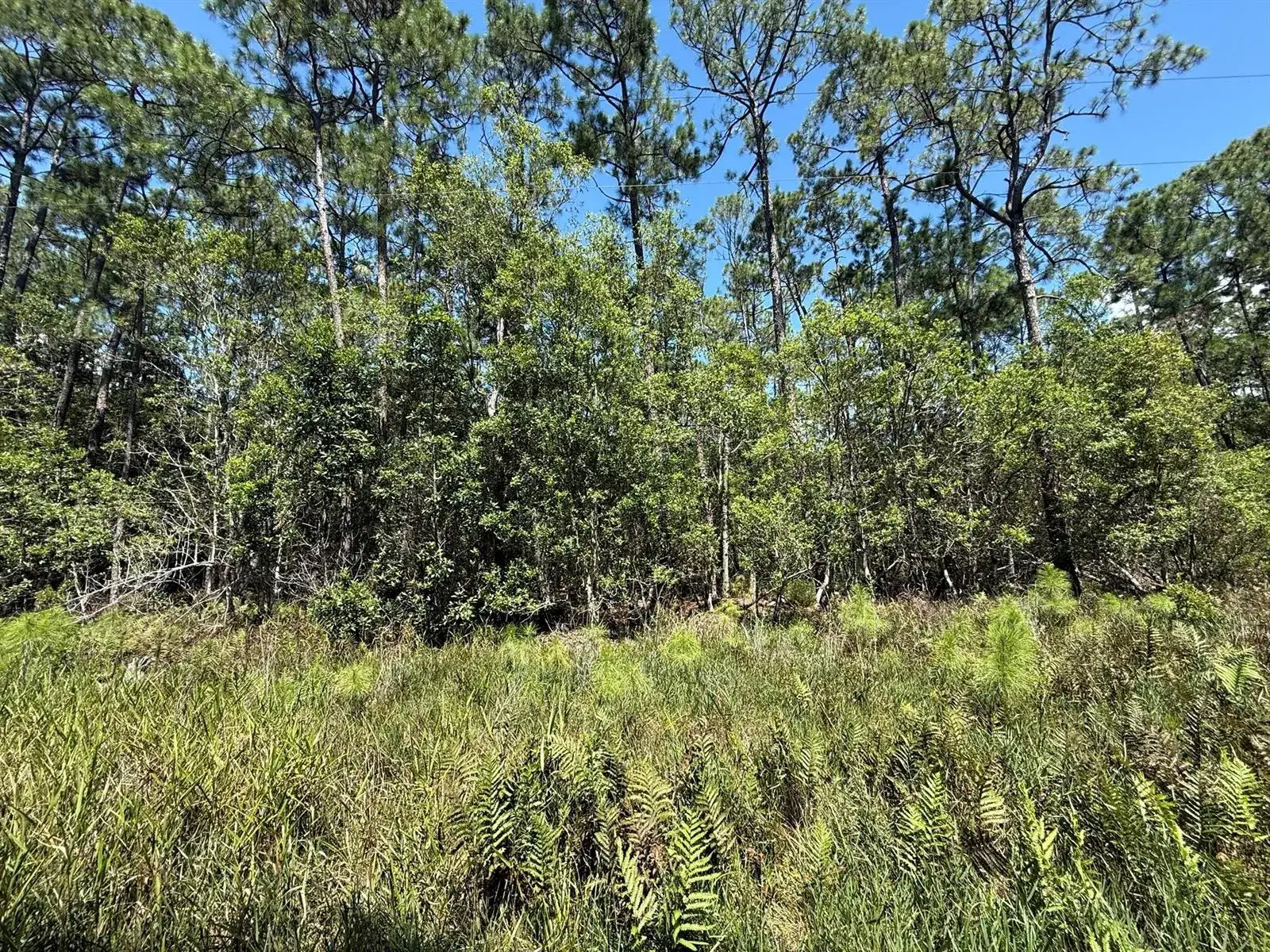 210 SE 2nd Street, FL 32139 photo 2