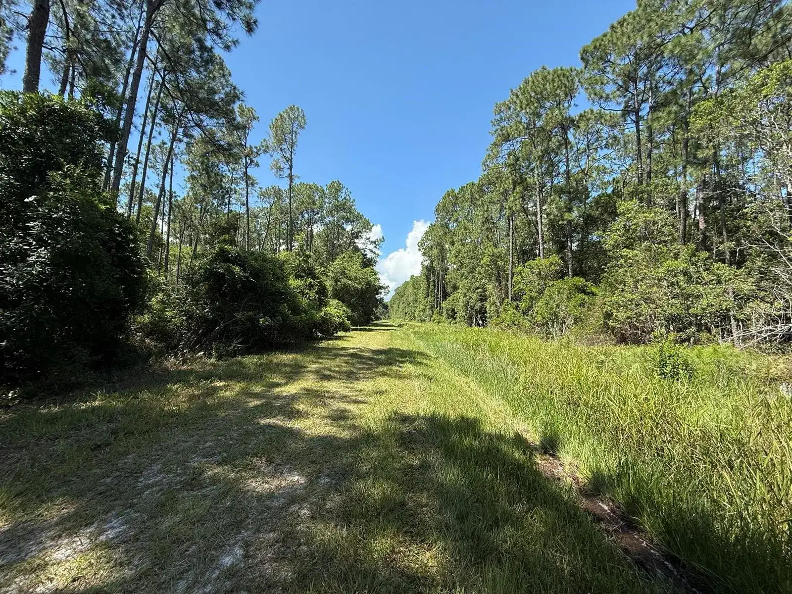 210 SE 2nd Street, FL 32139 photo 3