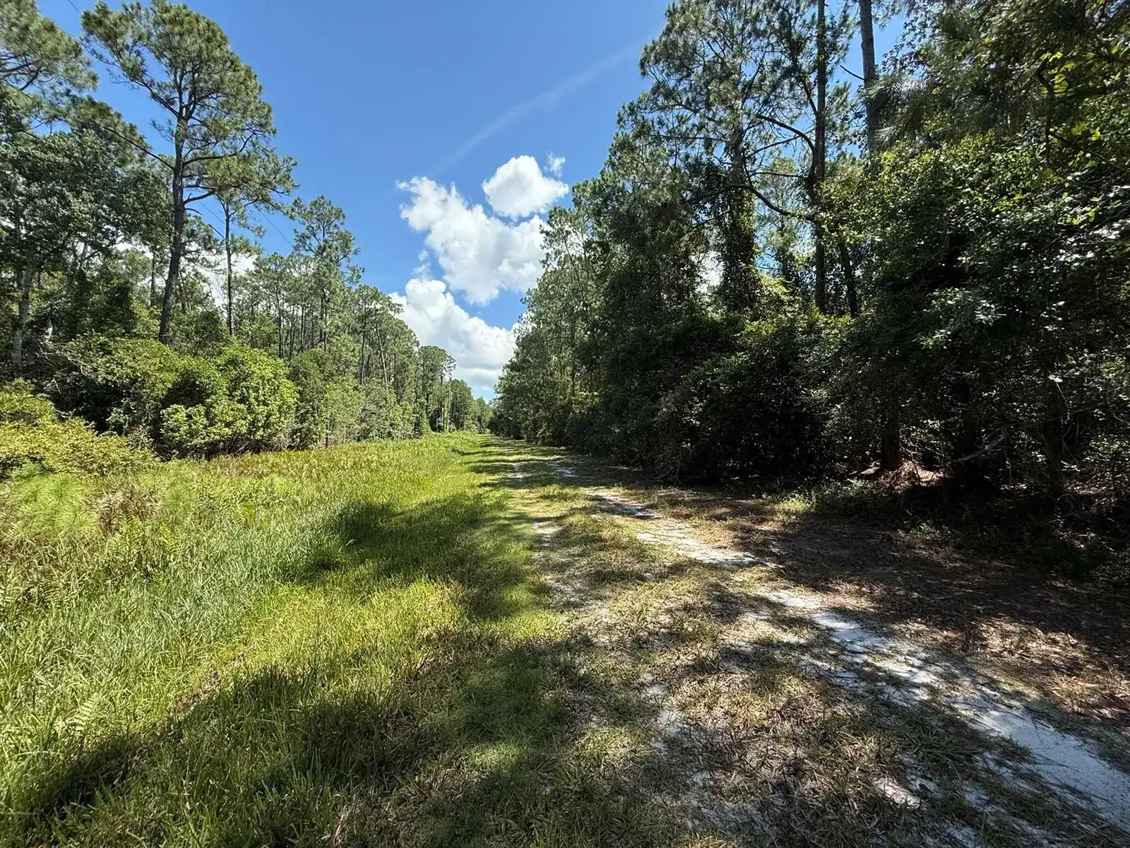 210 SE 2nd Street, FL 32139 photo 4