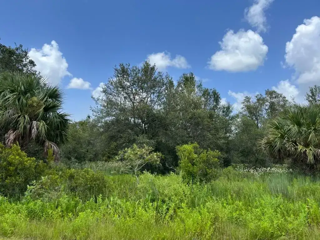 17915 NW 290th Street, Okeechobee FL 34972 photo 2