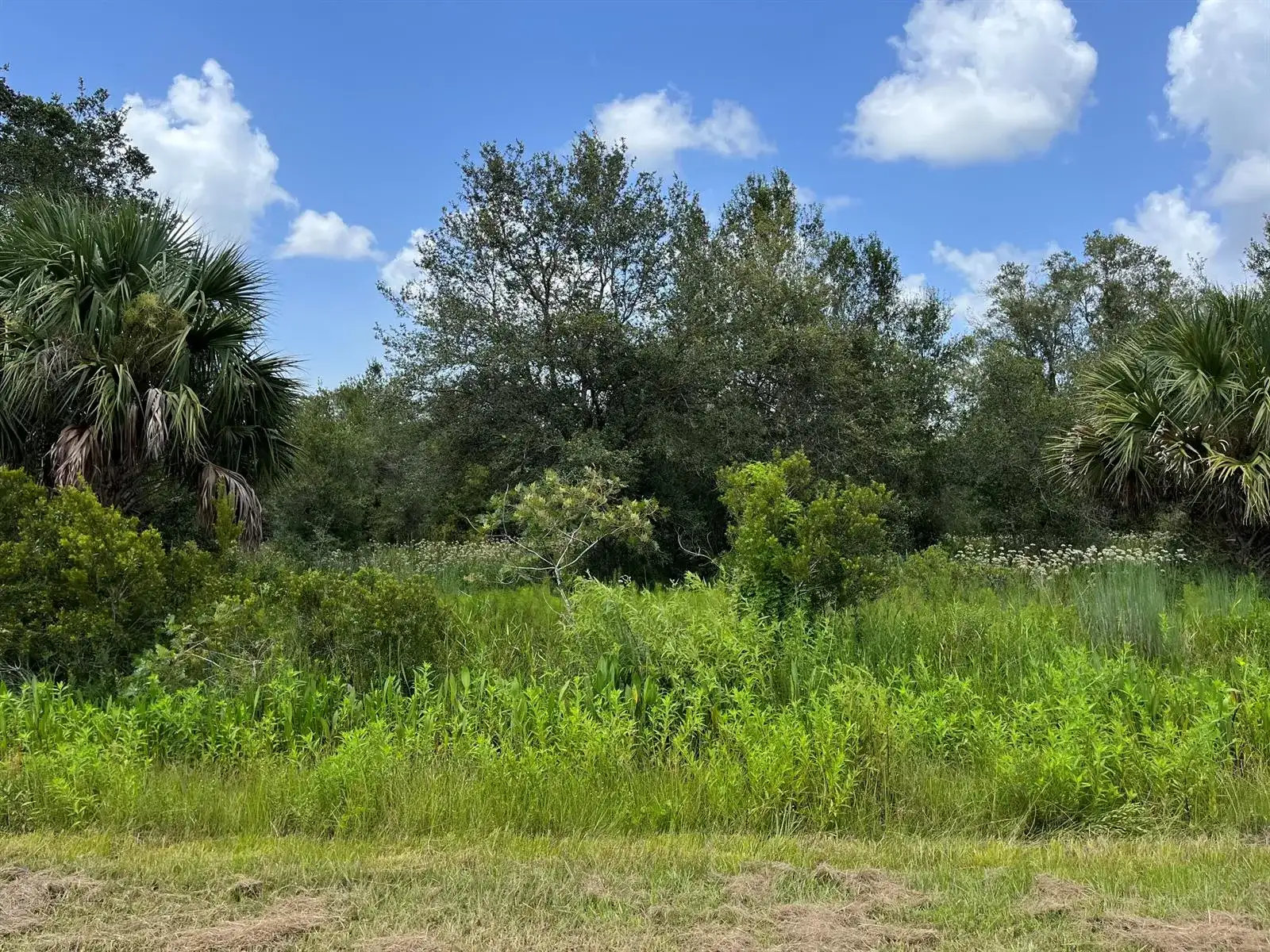 17915 NW 290th Street, Okeechobee FL 34972 photo 3