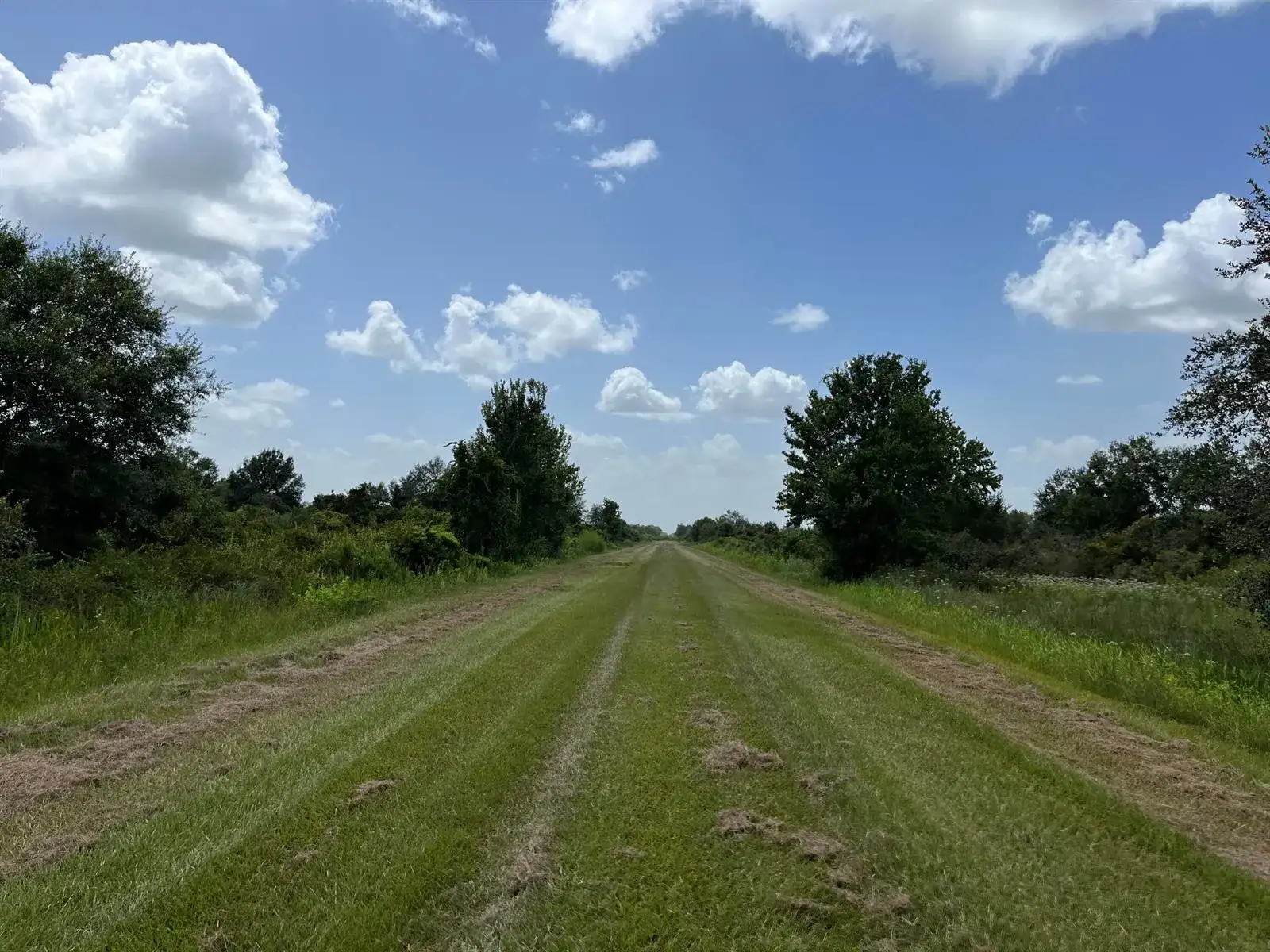 17915 NW 290th Street, Okeechobee FL 34972 photo 4