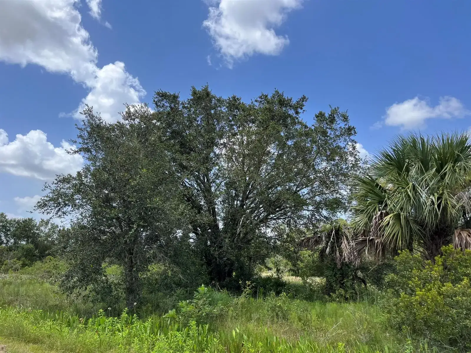 17915 NW 290th Street, Okeechobee FL 34972 photo 5