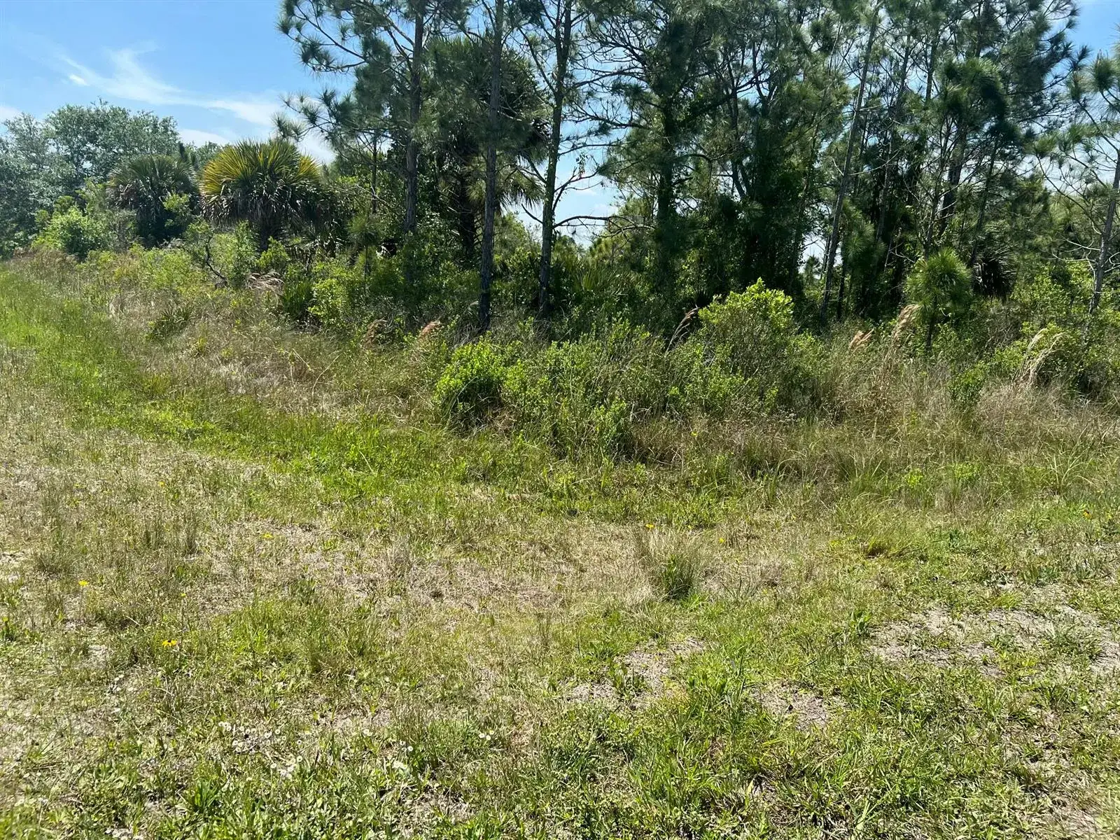 17616 NW 300th Street, Okeechobee FL 34972