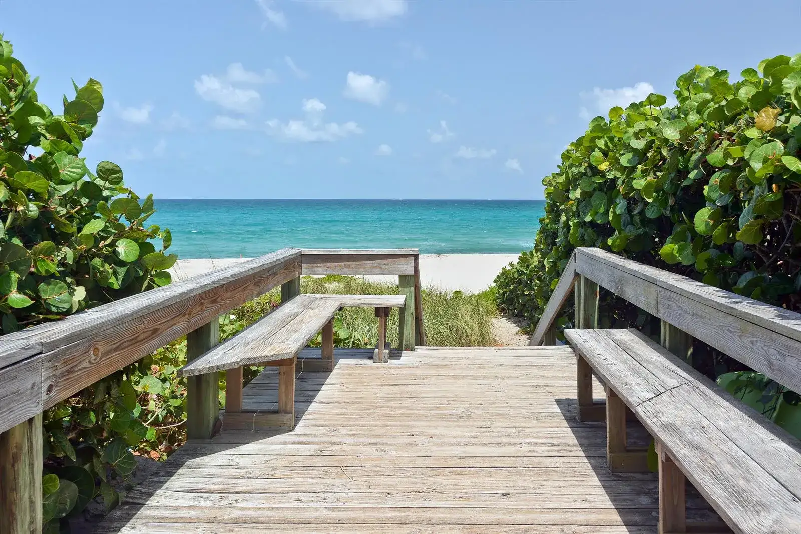 50 Celestial Way # 8e, Juno Beach FL 33408 photo 4