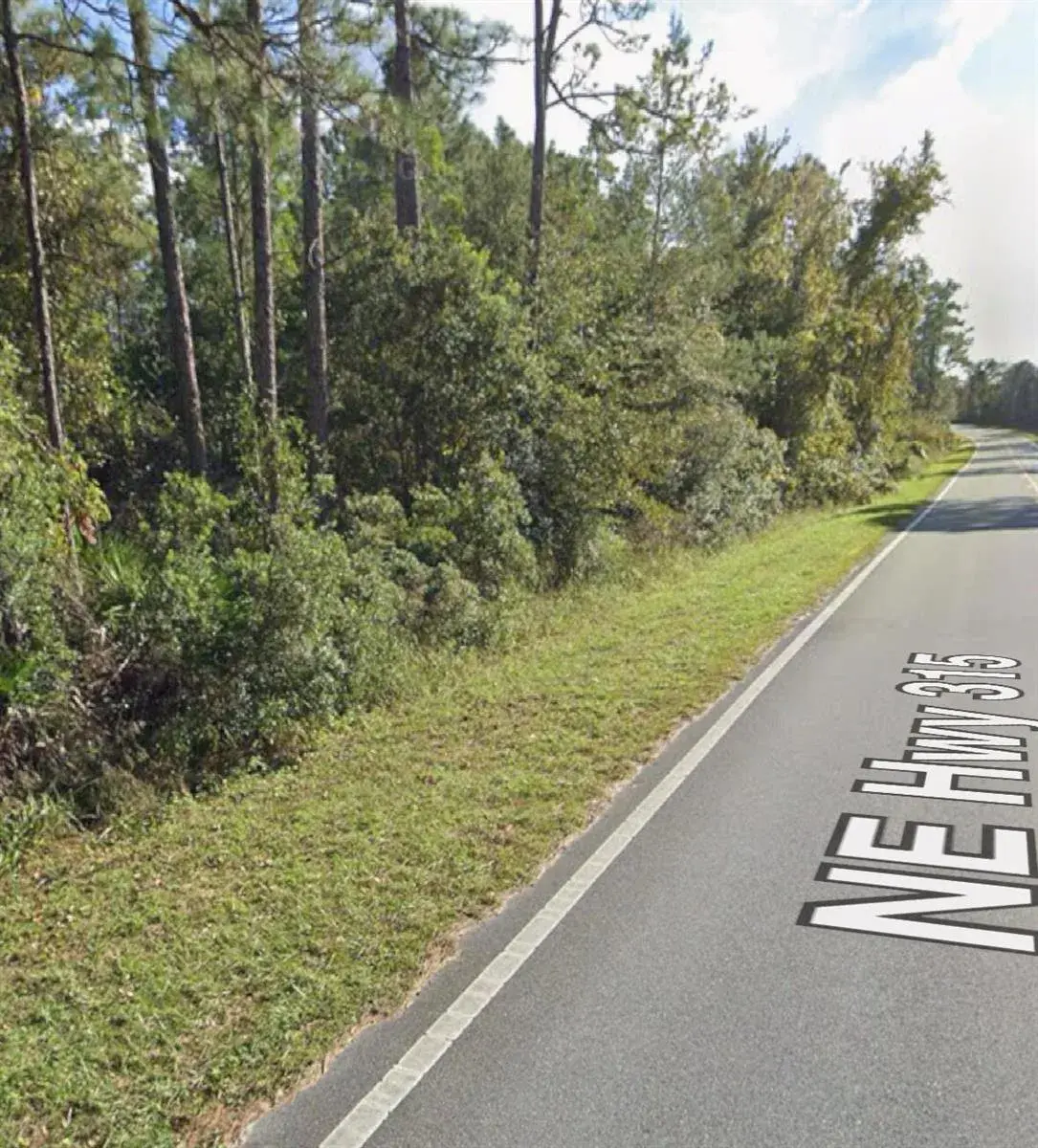 0 NE 315 Hwy, FL 32134