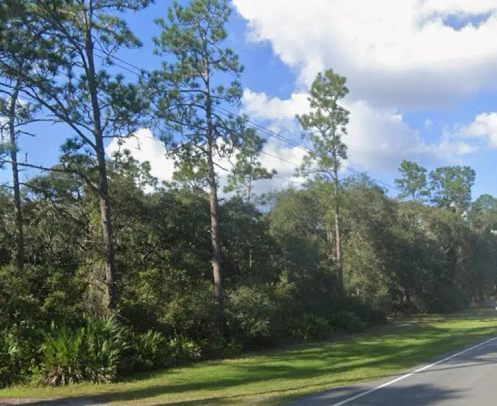 0 NE 315 Hwy, FL 32134