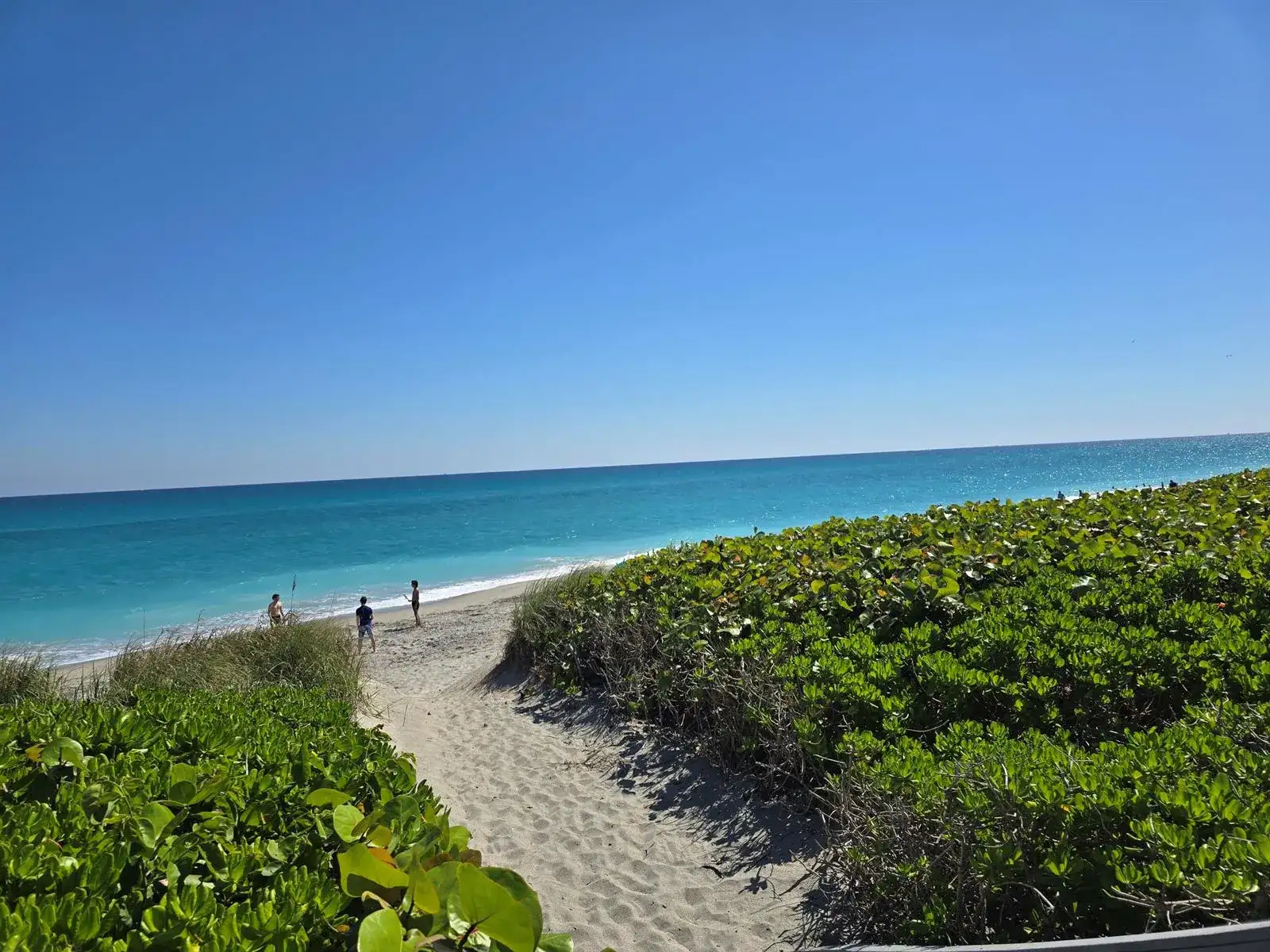 420 Celestial Way # 204, Juno Beach FL 33408 photo 2