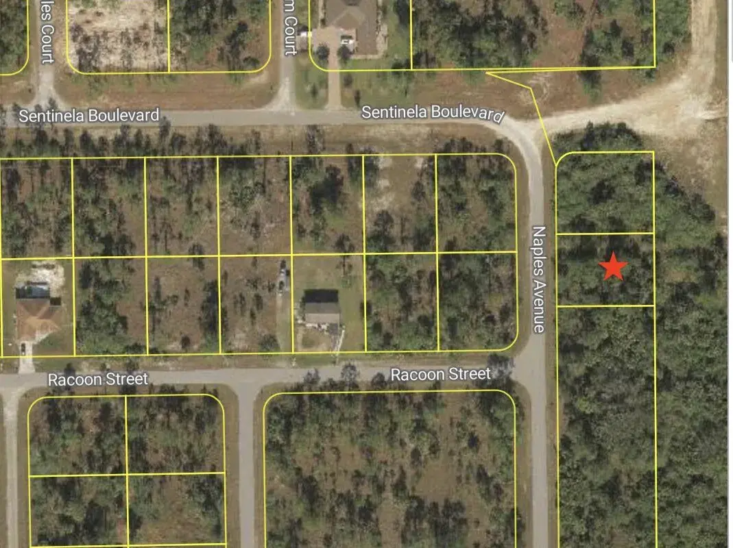 121 Naples Avenue S, Lehigh Acres FL 33974