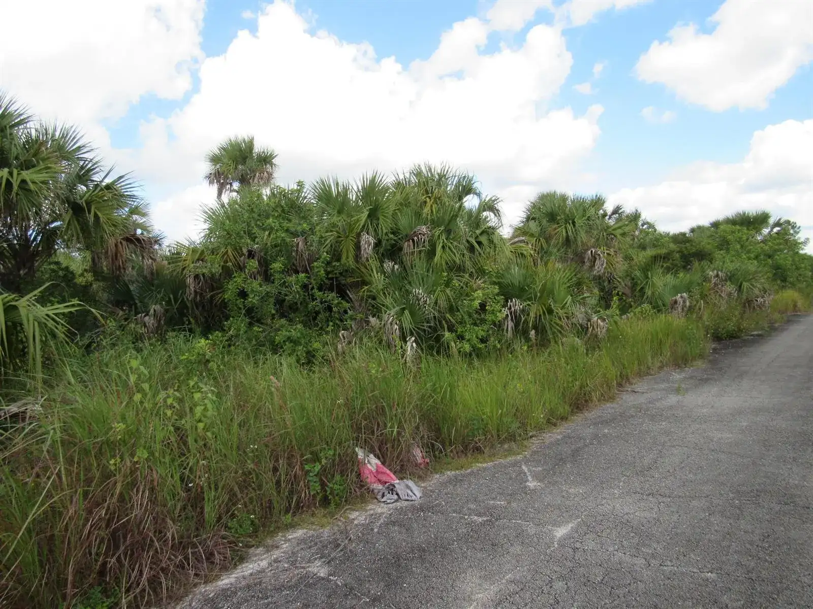 3362 Anhinga Avenue SW, Palm Bay FL 32908 photo 2