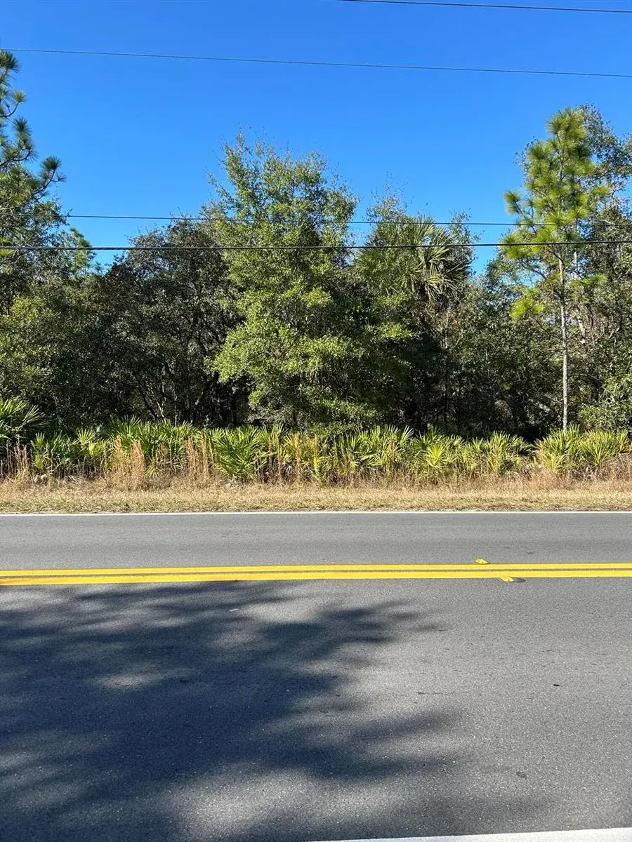 632 N Dunkenfield Avenue, FL 34429