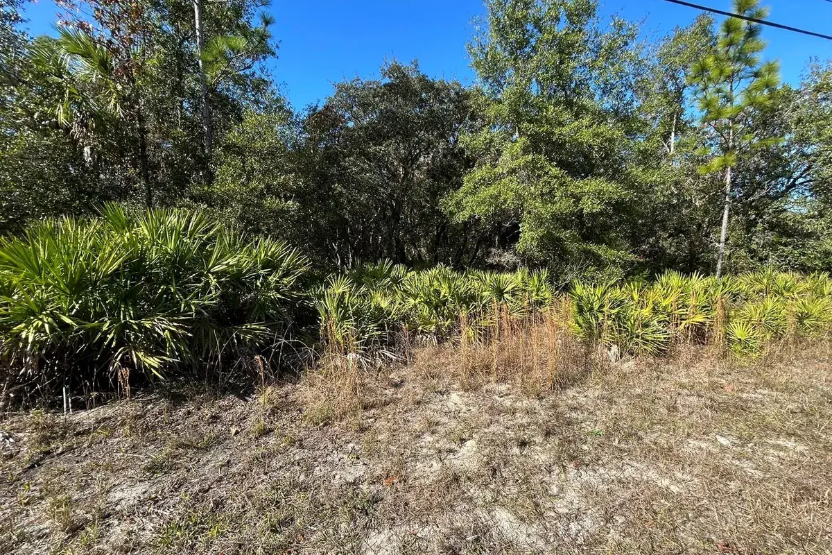 632 N Dunkenfield Avenue, FL 34429