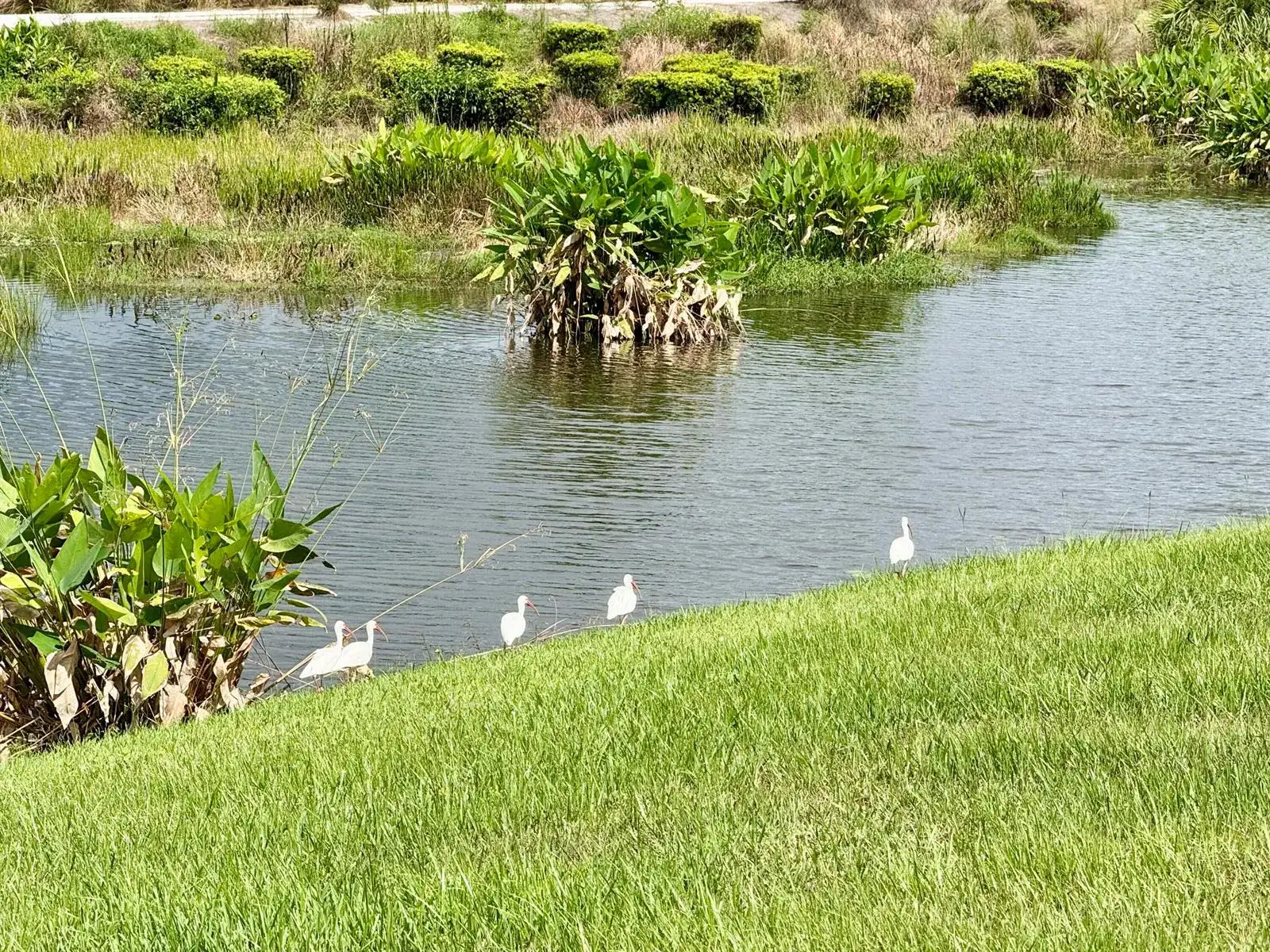 137 SE Mira Lavella, Port St. Lucie FL 34984 photo 4