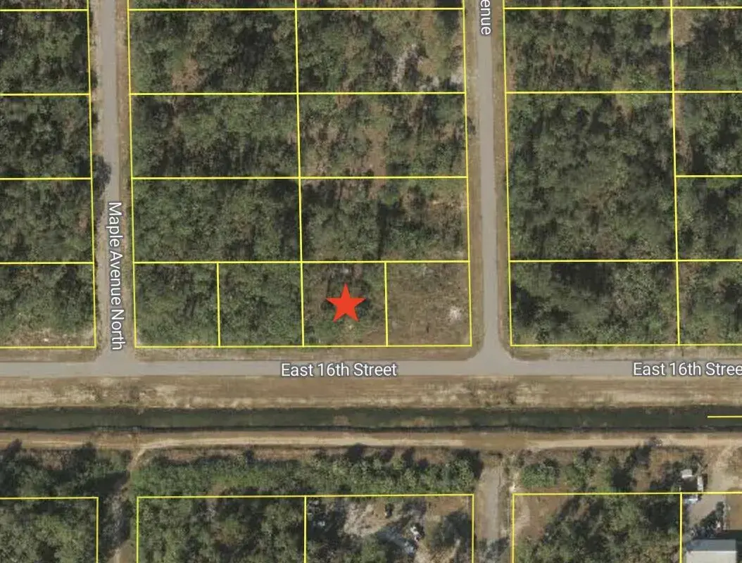 1005 E 16th Street, Lehigh Acres FL 33972