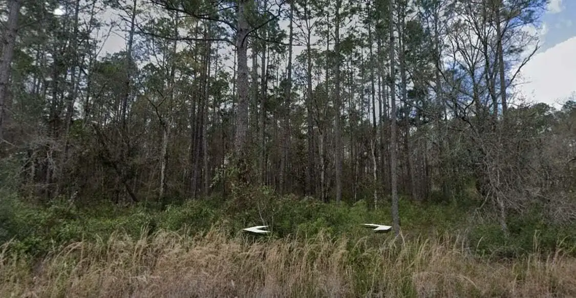 10275 Hennessey Avenue, FL 32145 photo 3