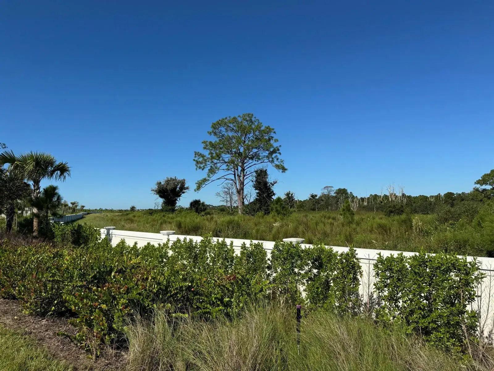 13105 Monte Rosa Court, Palm Beach Gardens FL 33412 photo 4