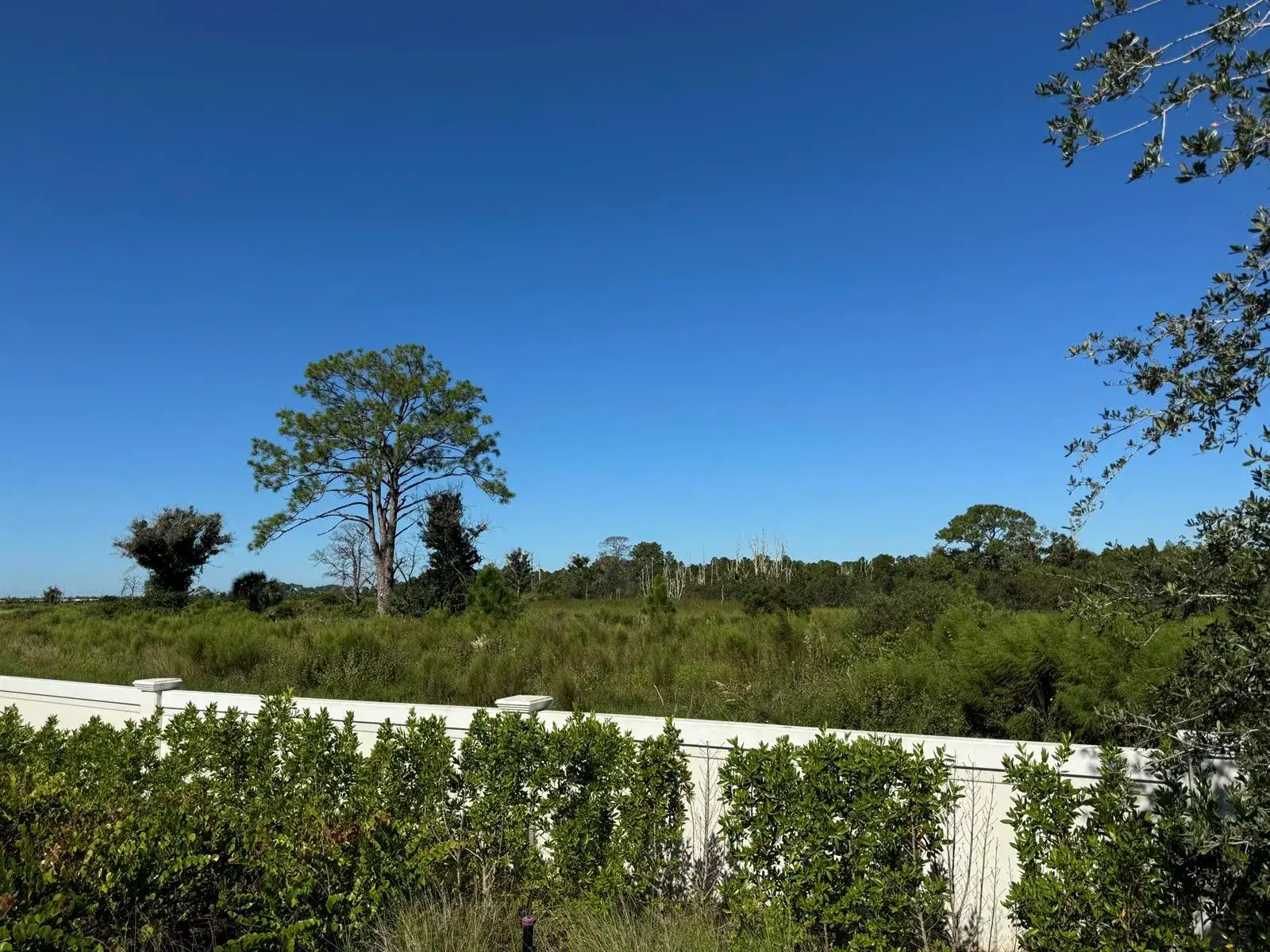 13105 Monte Rosa Court, Palm Beach Gardens FL 33412 photo 5