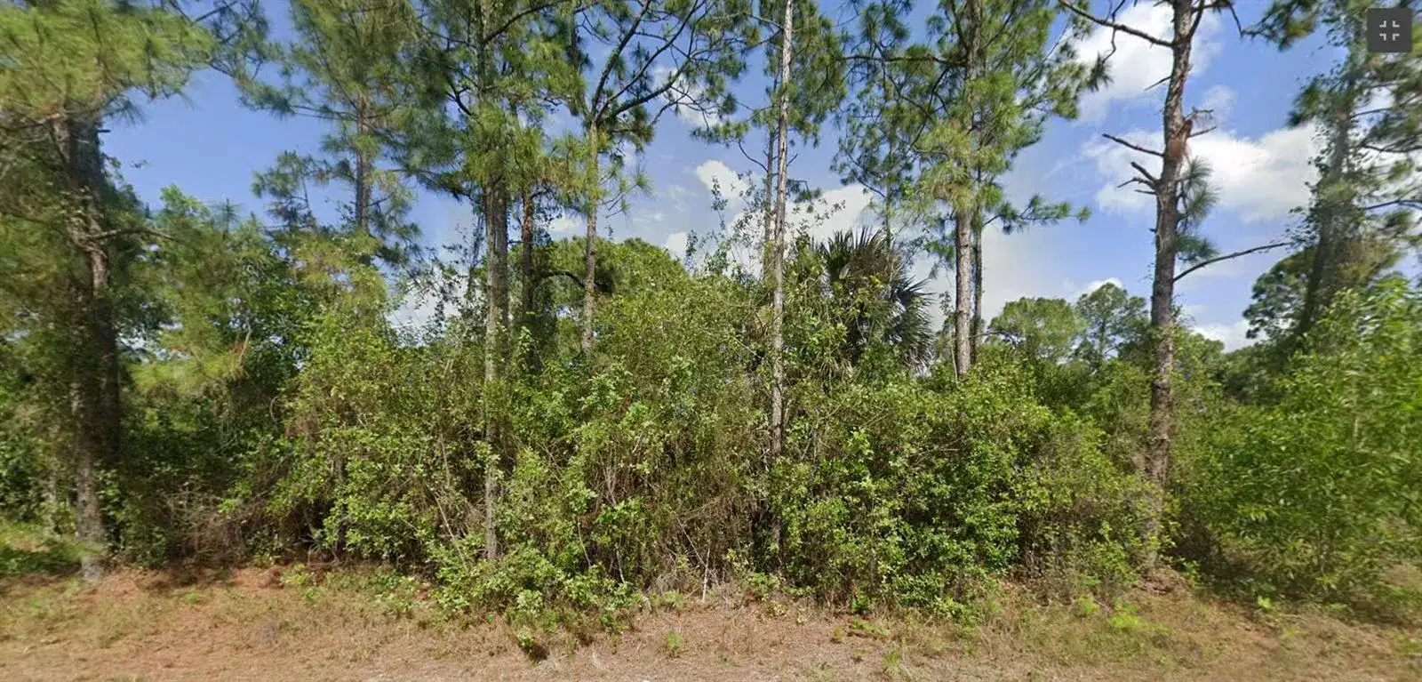 519 Genesee Avenue S, Lehigh Acres FL 33974 photo 3