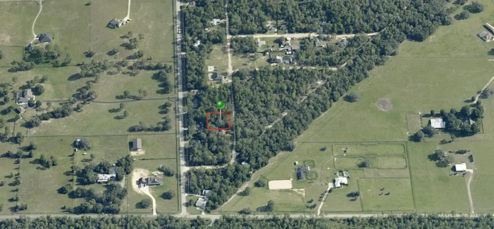 314 Smallwood Avenue, Inverness FL 34452 photo 3