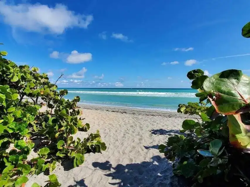1605 S Us Highway 1 # F203, Jupiter FL 33477 photo 2