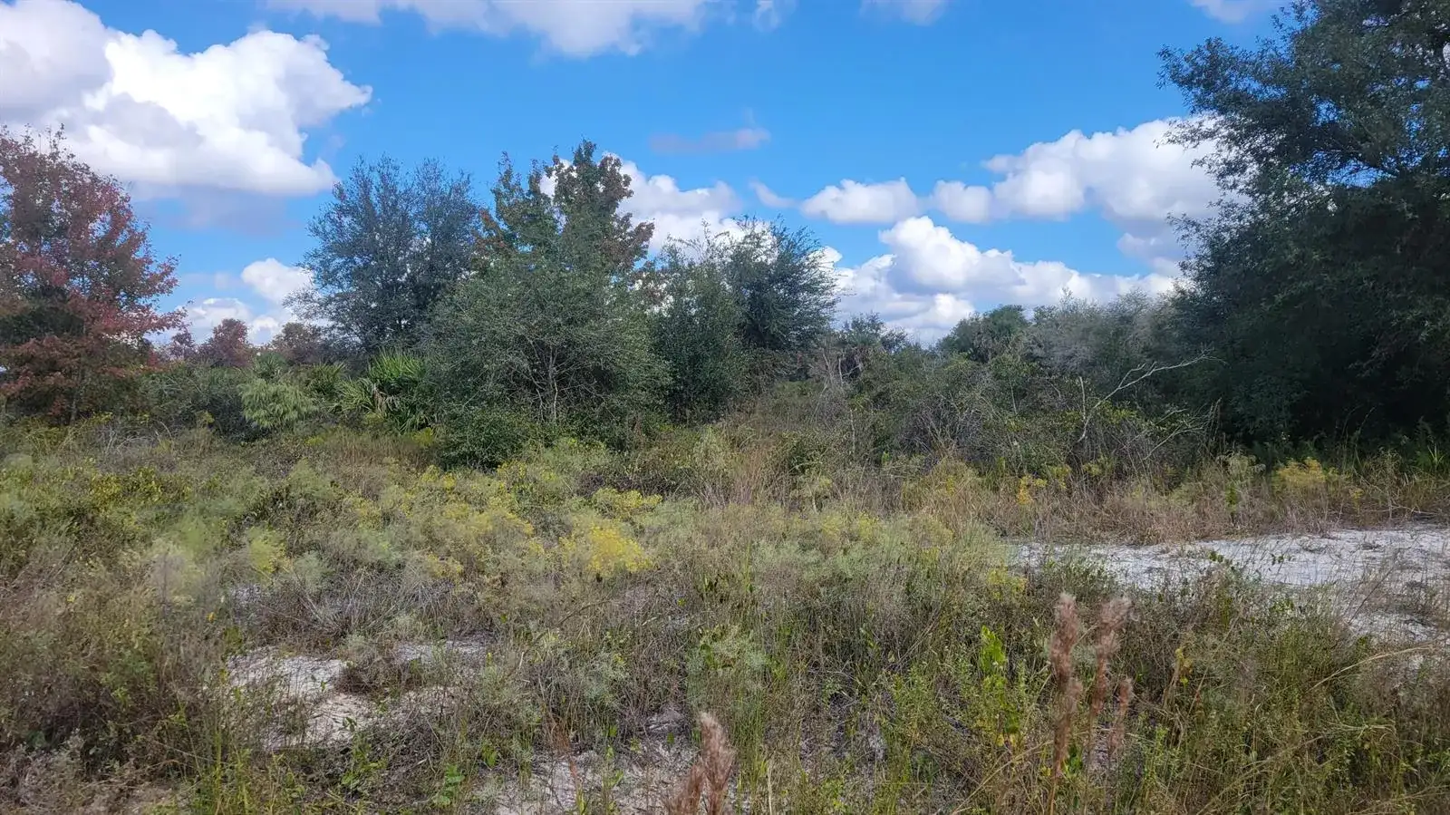 21321 NW 272nd Street, Okeechobee FL 34972 photo 2