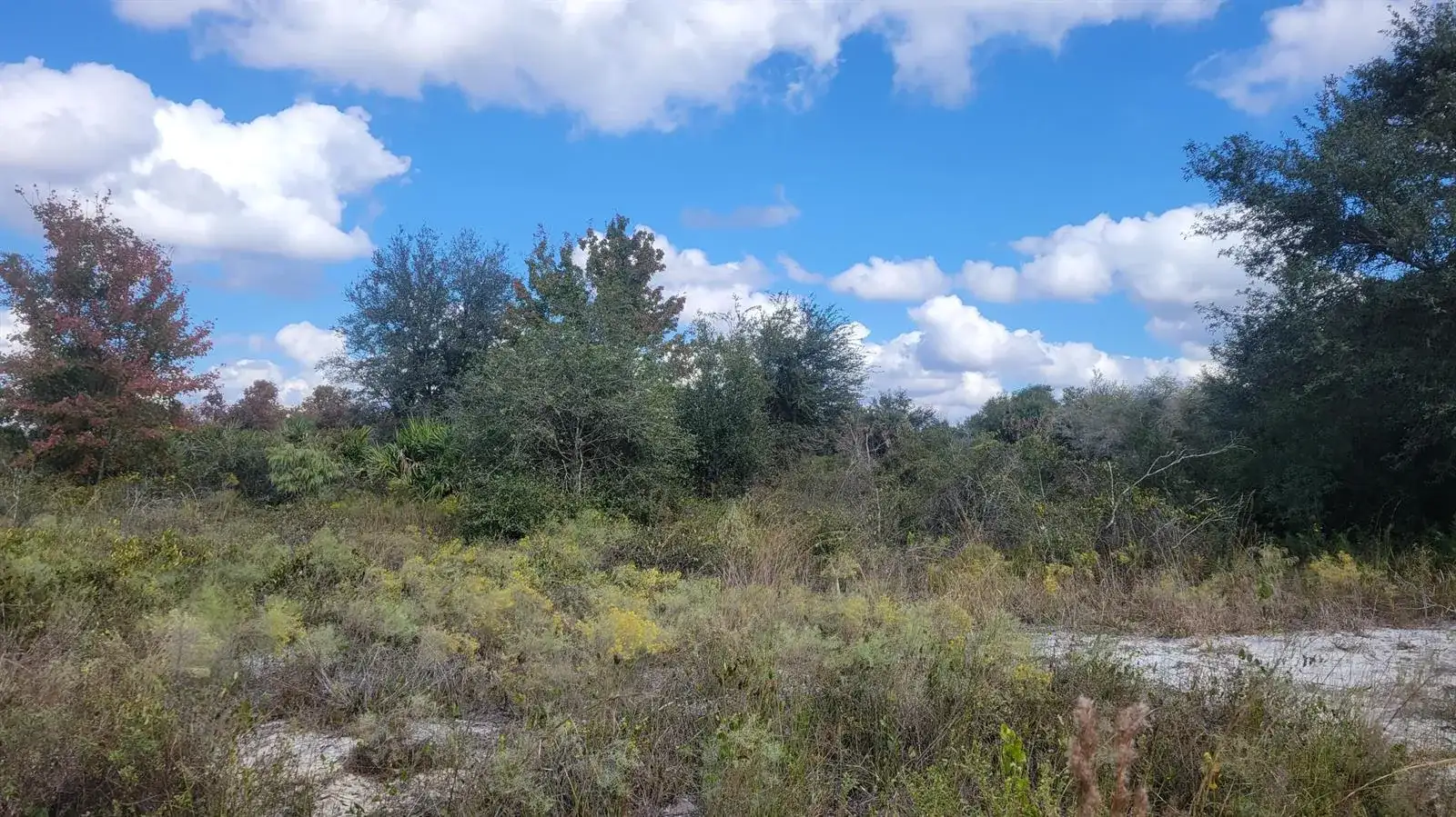 21321 NW 272nd Street, Okeechobee FL 34972 photo 3